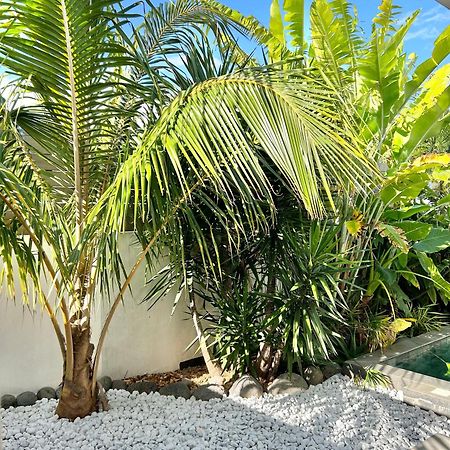 فيلا Le Yucca 974 By J&V سانت بيير المظهر الخارجي الصورة