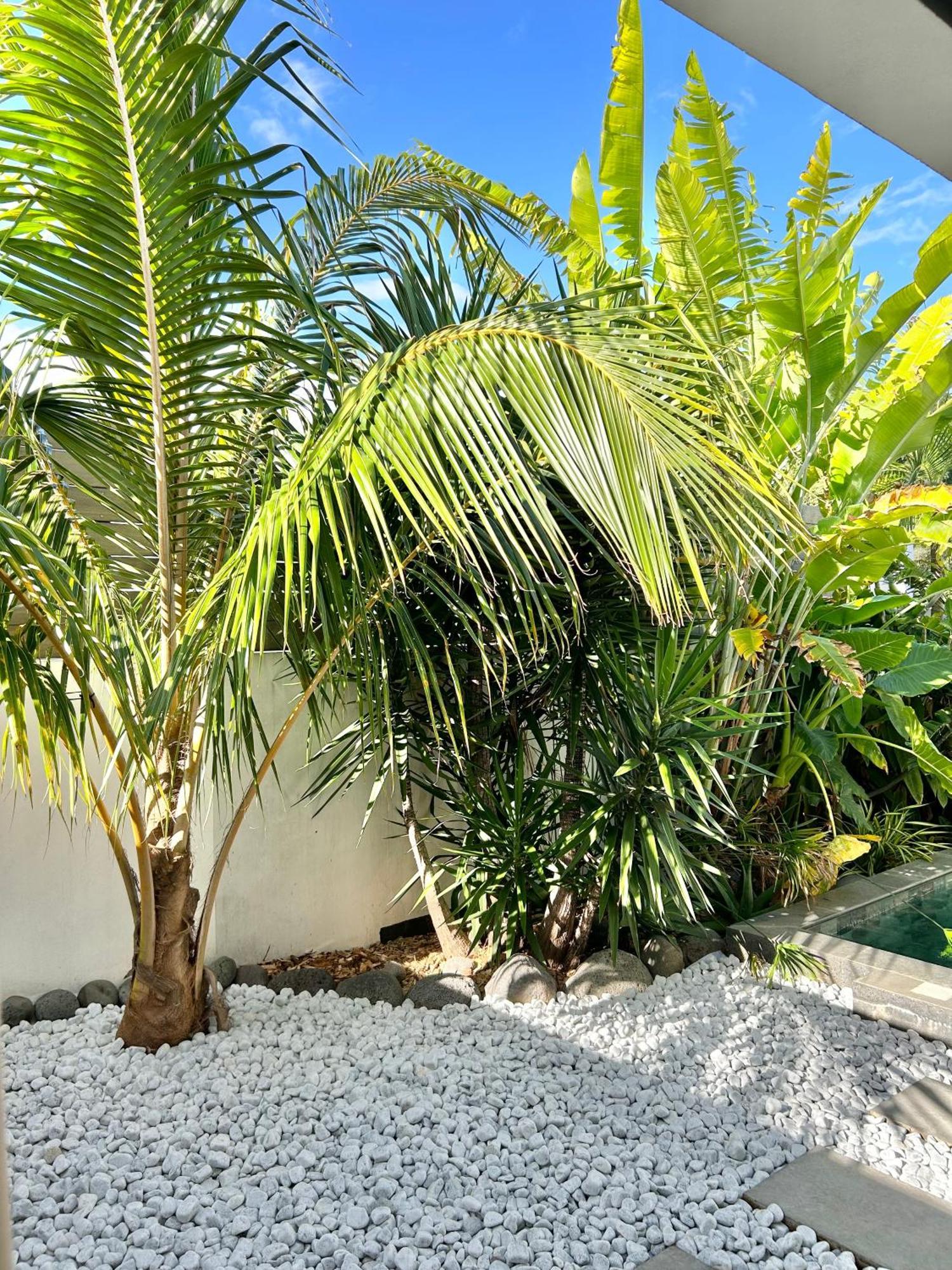 فيلا Le Yucca 974 By J&V سانت بيير المظهر الخارجي الصورة